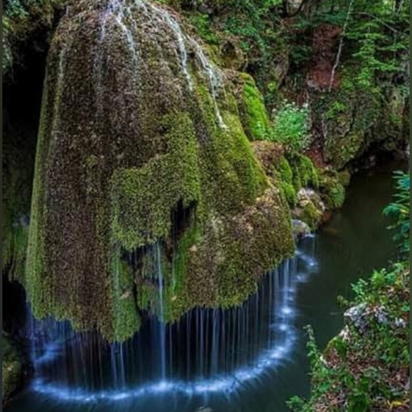 Meet Your Posh Ambassador Ms Rogers - Picture 14 of 16